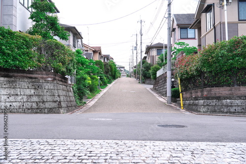 Set of everyday scenery of a calm and green suburban residential area and detached houses in Japan