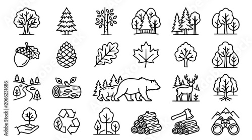 Photography Forest wildlife and nature line icon set with wild animals trees timber recyclin