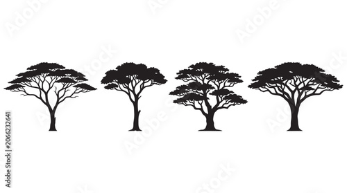 Tableau sur toile Four Acacia Trees In Silhouette Against A White Background Silhouette