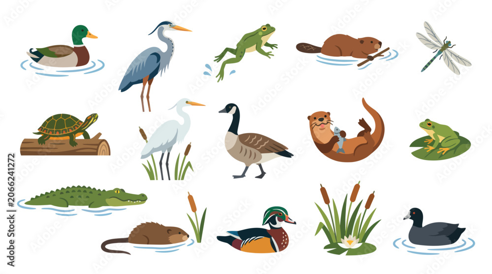 Fototapeta premium Flat Style Vector Illustration of Wetland Wildlife Animals, Nature Icons