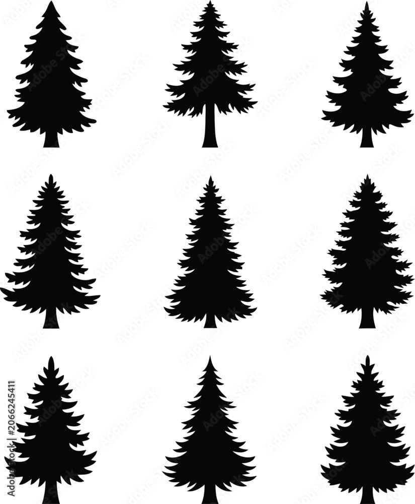 Fototapeta premium Set of Black Pine Tree Silhouettes Isolated on White Background, Evergreen Forest Icons