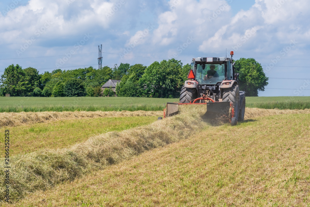 Fototapeta premium Red tractor raking hay on a sunny summer field