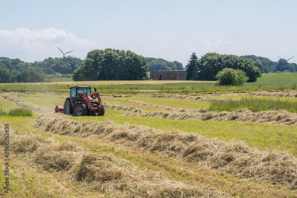 Fototapeta premium Red tractor raking hay on a sunny summer field