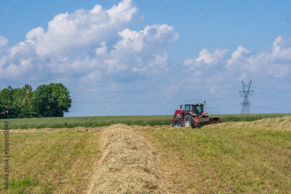 Fototapeta premium Red tractor raking hay on a sunny summer field