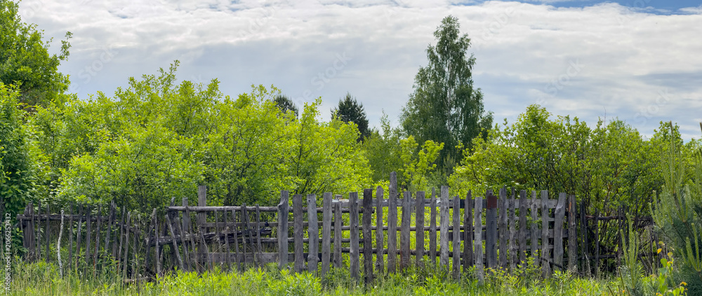 Obraz premium Rustic wooden fence lines lush green trees