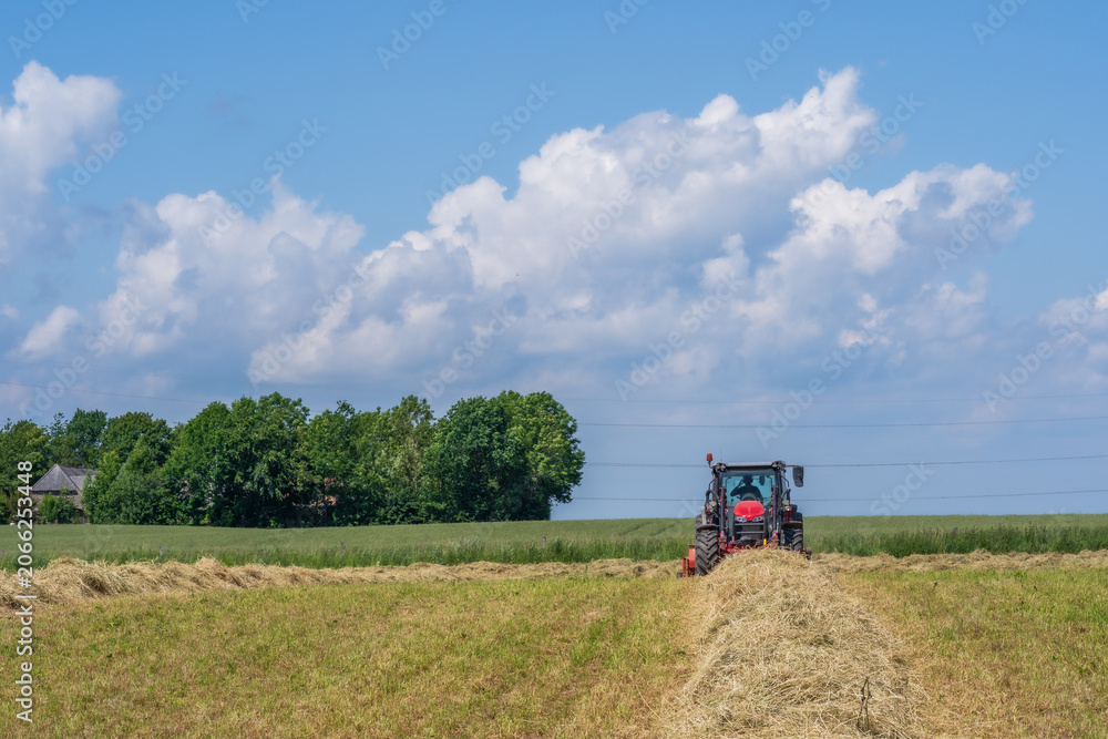 Fototapeta premium Red tractor raking hay on a sunny summer field