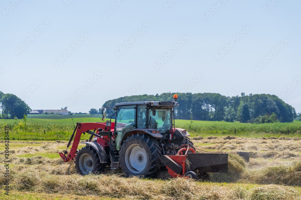 Fototapeta premium Red tractor raking hay on a sunny summer field