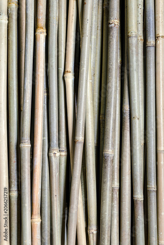 stack of bamboo sticks
