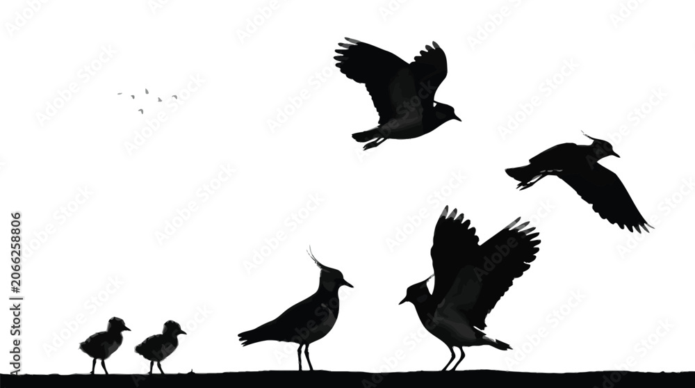 Fototapeta premium Detailed black vector illustration featuring a group of wild lapwing birds flying and standing together