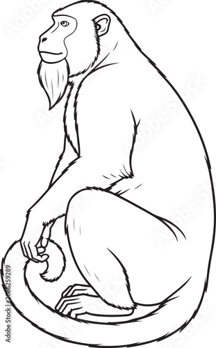 Bearded Monkey Sitting Side Profile Line Art Vector Illustration