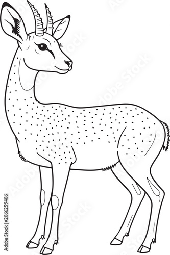 Spotted Dik-dik Antelope Line Art Vector Illustration