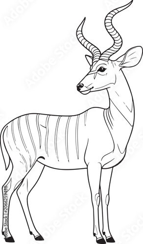 Greater Kudu Antelope with Spiral Horns Line Art Vector Illustration