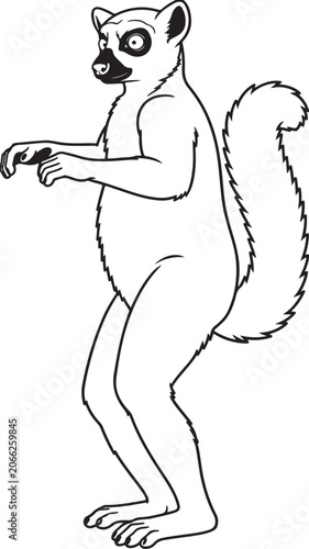 Ring-Tailed Lemur Standing Upright Line Art Vector Illustration
