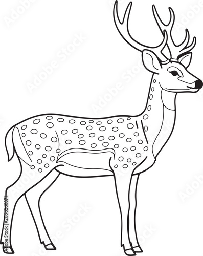 Spotted Chital Axis Deer Buck Standing Full Body Outline Vector