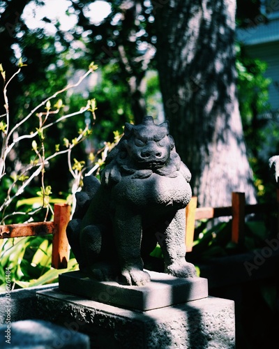 Obraz na plátně 神社の境内に鎮座する石の狛犬、伝統的な日本の風景