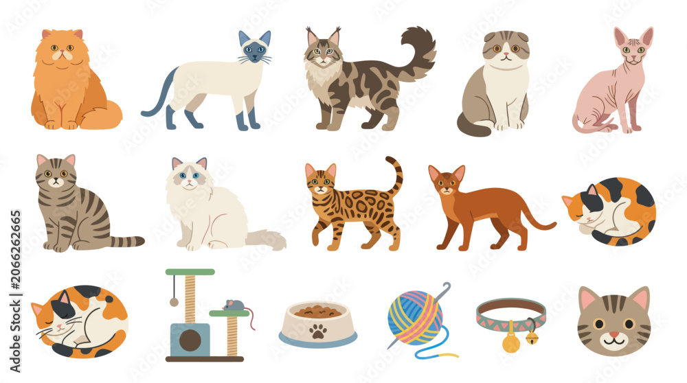 Fototapeta premium Flat Vector Illustration Set of Diverse Cat Breeds and Pet Accessories Collection for Feline Lovers