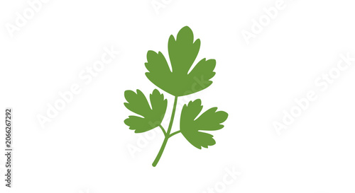 Minimalist green parsley leaf icon isolated on white background.