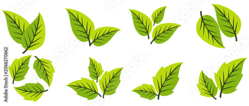 Fotografie Leaf illustration in flat style, green leaves, nature theme, forest, garden and trees
