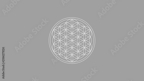 Flower of Life Breath Loop - Meditation Background