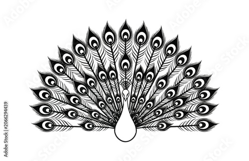Black and white peacock feather pattern