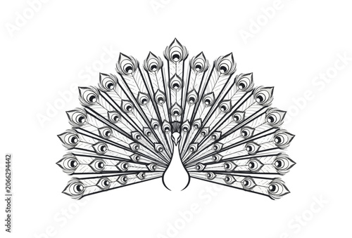 Black and white peacock feather design