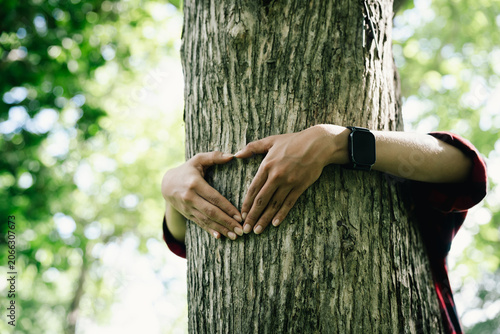 Foto Person hugging a tree in a forest, expressing love for nature, environmental conservation, sustainability, biodiversity protection, and a deep connection with the natural world