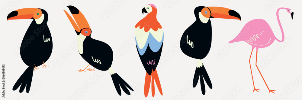 Fototapeta premium Vector set of colorful toucans and a pink flamingo on white background