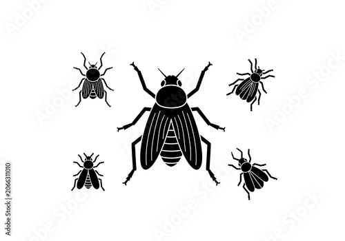 Black Flies Silhouette Isolated on White Background