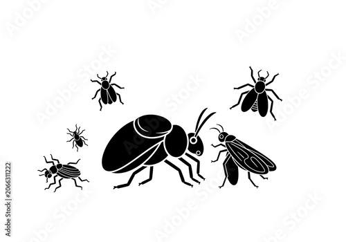 Black Beetles Group Isolated on White Background
