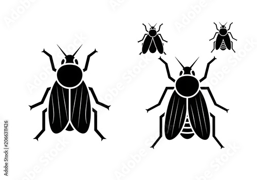Black Beetles Flying on White Background