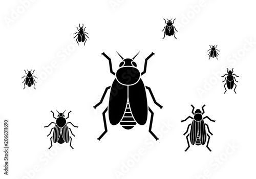 Black Beetles Flying Around Large Insect on White Background