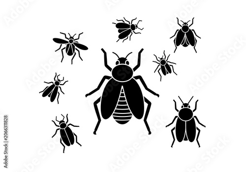 Black Beetles Flying Around Large Insect on White Background