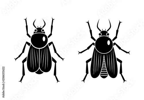 Black Beetles Isolated on White Background