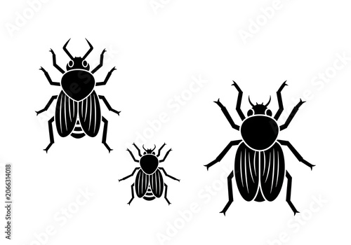 Black Beetles Isolated on White Background