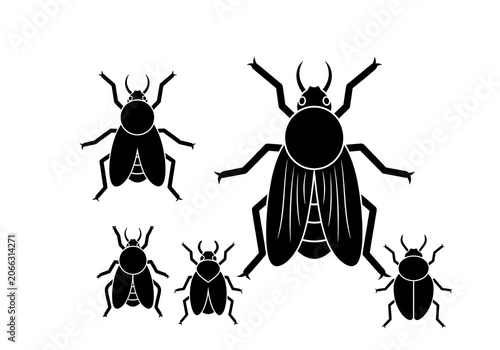 Black Beetles Silhouette Isolated on White Background