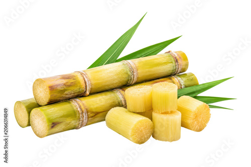 Fotografie Fresh sugarcane stalks and cut sugarcane pieces with green leaves isolated on a white background