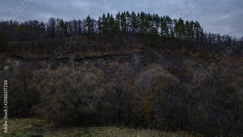 wildlife in late cold autumn