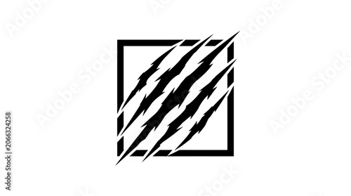 Black and white zebra stripe pattern.