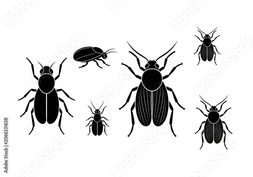 Black Beetles Silhouette Isolated on White Background
