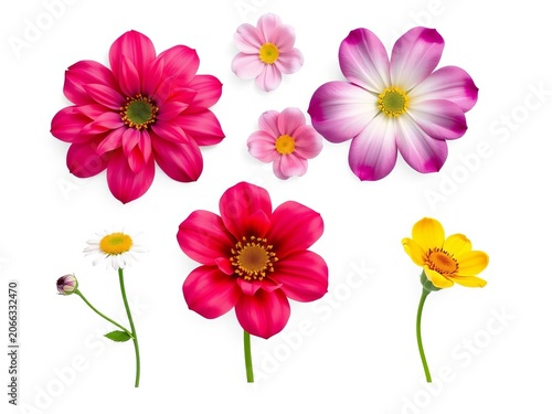 Flower icons set isolated on white background, decoration design, trendy illustration
