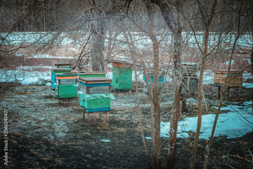 a beehive with bees in a spring garden
