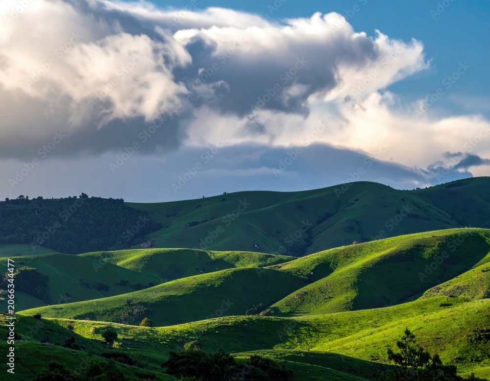 Obraz premium Verdant hills roll under dramatic clouds, bathed in light