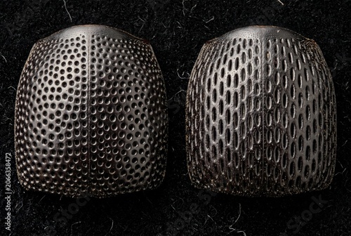 Extreme close up of two sitophilus beetle pronotums side by side showing round versus oval punctures