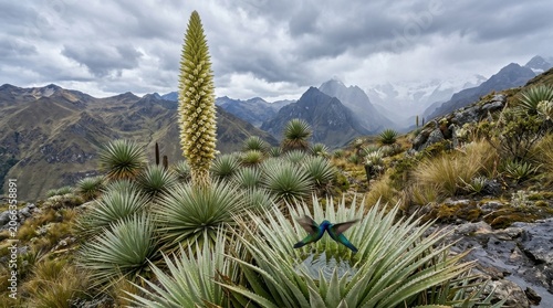 Puya Raimondii Giant Bromeliad Desert Dry Mountain Landscape Rare Photo