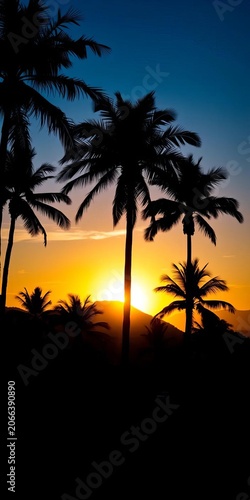 Silhouette of palm trees during a sunset in Rio de Janeiro, Brazil, sunset sky, warm light
