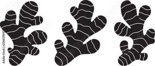 Foto Abstract black organic shape set, vector illustration featuring three flowing ir
