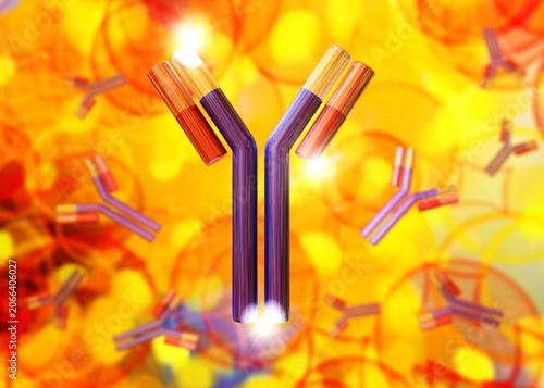 antibody, immunoglobulin, Y-shaped protein produced mainly by plasma cells,   3d rendering