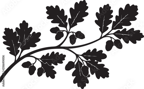 Oak tree branch silhouette with acorns graphic silhouette botanical illustration woodland isolated ornament seasonal deciduous