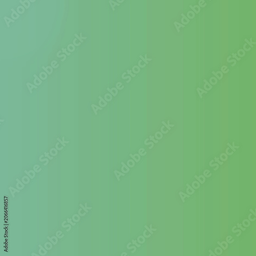 Minimalist Smooth Bright Green Abstract Studio Backdrop Texture