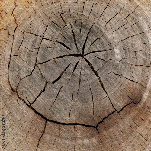 wood texture background